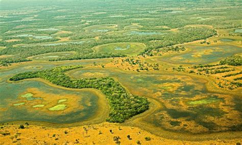 5 interesting facts about the Pantanal, the world’s largest tropical wetland | Stories | WWF