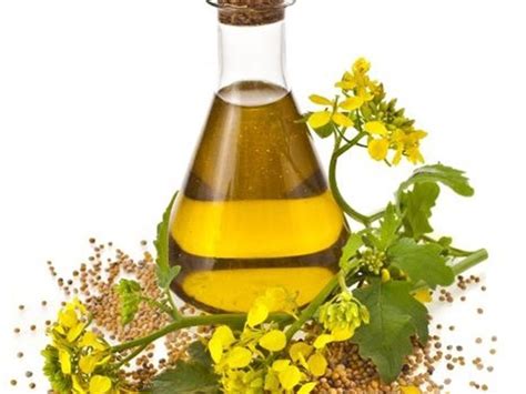 Canola Oil Health Benefits - Home Remedies And Natural Treatments In USA
