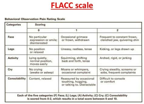 Flacc Pain Scale Chart Printable