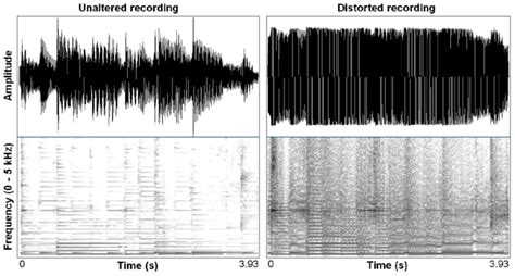 Waveform and spectrogram (Fast Fourier Transform (FFT) method, window... | Download Scientific ...