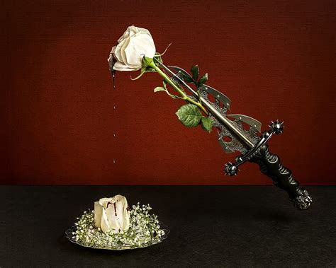 Bleeding Rose, blood, dagger, flower, knife, graph, HD wallpaper | Peakpx