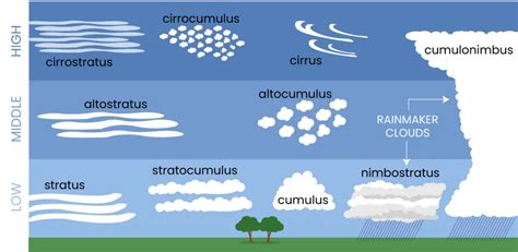 Antwort What are five cloud types? Weitere Antworten – What are the types of cloud ...