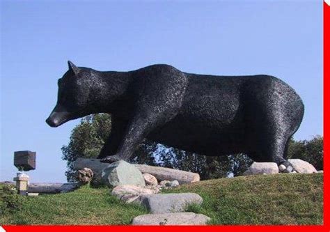 Black Bear - Kapuskasing, Ontario | Canadian adventure, Roadside attractions, Cross canada road trip