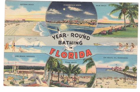 Florida Vintage Postcard (unused) in 2020 | Vintage florida, Postcard ...