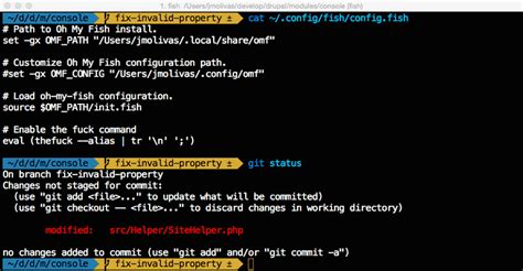 Improve your shell using fish and oh my fish | jmolivas