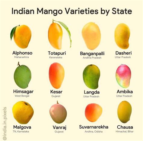 Mango varieties by State - Feedpulp