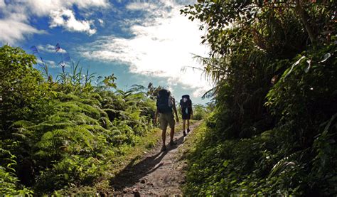 Explore the scenic landscapes on bushwalking trails