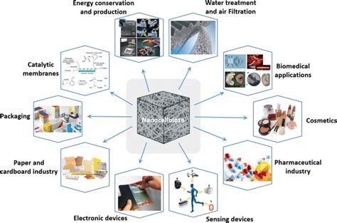 Examining Nanocellulose: A Promising Approach - Nanografi - Nanografi Nano Technology