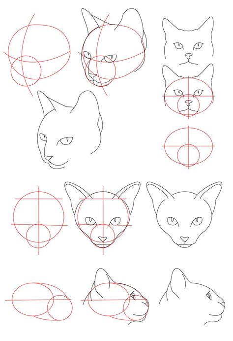 How to Draw a Humanoid Cat Face Shape - Comence Waris1985