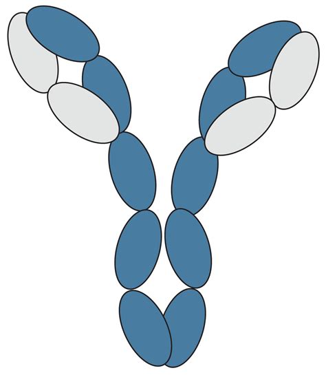 Primary Antibodies | Antibodies.com