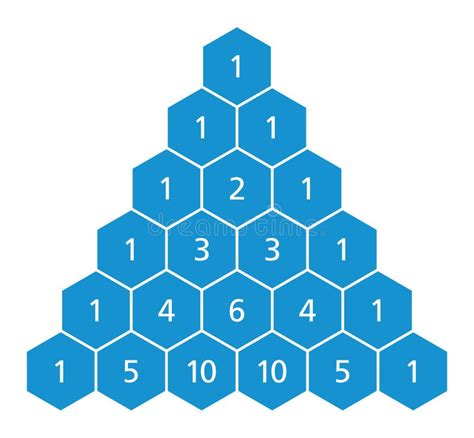 Triangolo Di Pascal, Coefficienti Binomiali, Matematica Illustrazione Vettoriale - Illustrazione ...