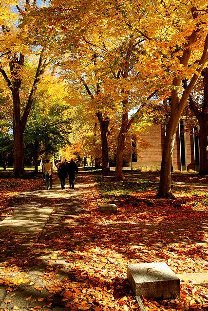 Princeton University in Autumn Dream College, Dream School, College Campus, College Life, Ivy ...