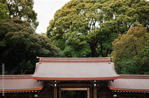 Meiji Jingu Shrine wooden gate and corridor - Tokyo Stock Photo | Adobe Stock