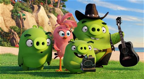 Animation 2016, family, Green pigs, Angry Birds, HD Wallpaper | Rare Gallery