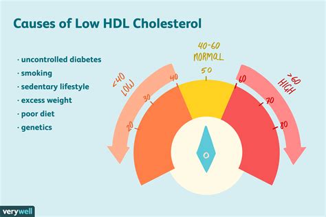 What Causes Lipoprotein A To Be High