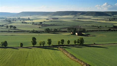 Stockvideo-Clip von view on the landscape "meseta", a long | Shutterstock