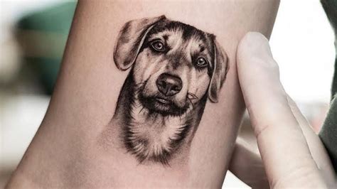 16 Incredible Dog Tattoos That Are True Works of Art - Dogs Explorer