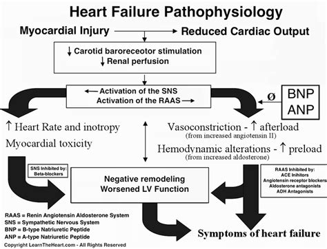 Congestive Heart Failure - Diastolic Topic Review | Learn the Heart