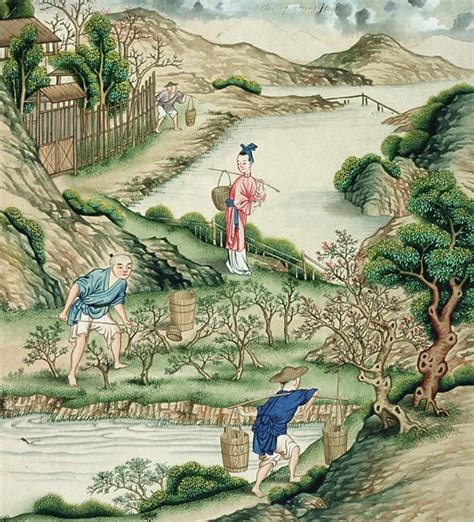 Depictions of Chinese Tea Culture for the Western Market | The Decorative Arts Trust