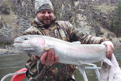 Idaho Steelhead Fishing Mackay Bar Ram House Lodge Jet Boat Trips ...