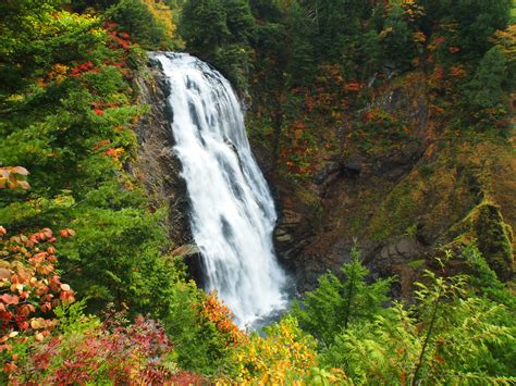 Oze National Park | National Parks of Japan