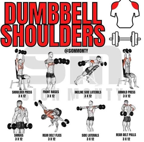 the dumbbell shoulders workout poster