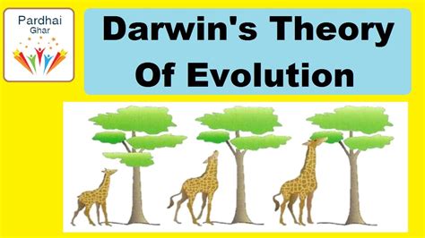 Darwin's Theory of Evolution - Darwinism - Pardhai Ghar - YouTube