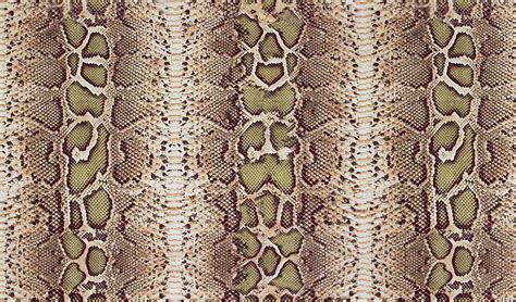 Pin by PERSEPHONE on skins | Animal print wallpaper, Snake skin, Animal skin