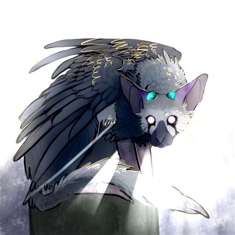 trico by RunningFIame on DeviantArt