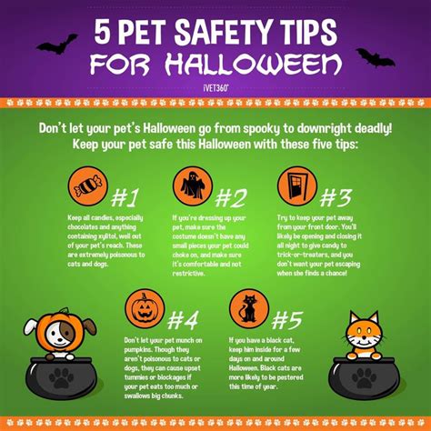 5 Pet Safety Tips For Halloween Infographic | Halloween safety tips, Halloween safety, Pet safety