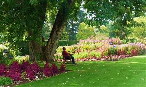 Savill Garden, map, information & places to stay - Great British Gardens