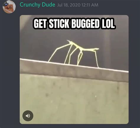 Screenshot #1 | Get Stick Bugged Lol | Know Your Meme