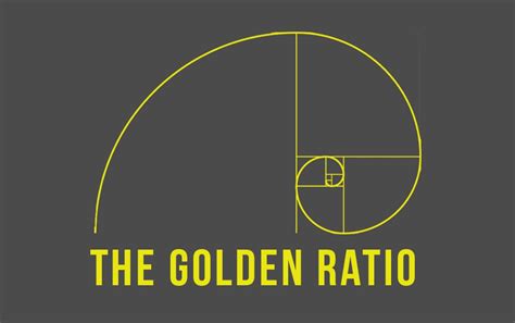 Designer's Guide to The Golden Ratio - Infographic