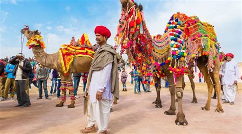 Bikaner Camel Festival 2019: Honouring the ‘Ship of the Desert’ | ixigo ...