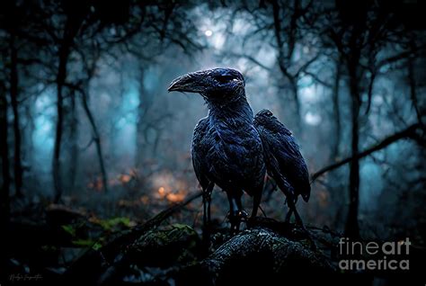 Crows and Raven Series-0002 Digital Art by Norbert Sulmann | Fine Art ...