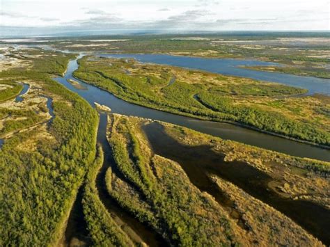 Opinion: The great Saskatchewan River Delta is a good place to start ...