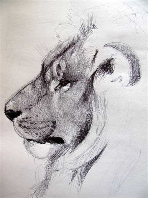 Animal sketches 001 by milinkre on DeviantArt