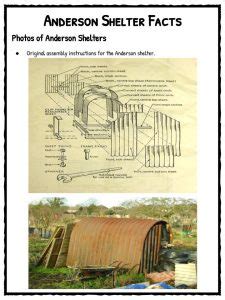 Anderson Shelter Facts & Worksheets | Study Material Resource