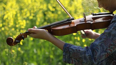 Exploring Fiddle Styles - Lesson Plan - KET Education