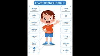 Basic Body Parts In Spanish