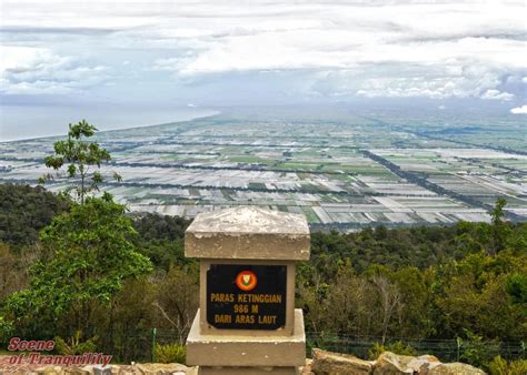 May 10, 2017 Gunung Jerai view Vast paddy fields of Kedah viewed from The Regency Jerai Hill ...