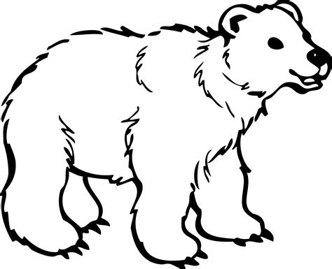 Clipart - young bear