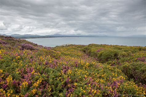 Llanbedrog – LLeyn Peninsula, Wales – Michel Chretinat Photography