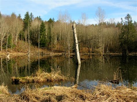 Puget Sound – Islands & Lowlands – HIke of the Week