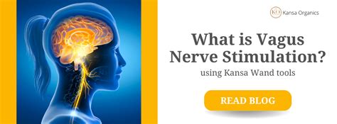 What is Vagus Nerve Stimulation? – Kansa Organics