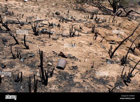 Brush fire damage Stock Photo - Alamy