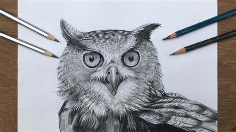 Owl Face Pencil Drawing