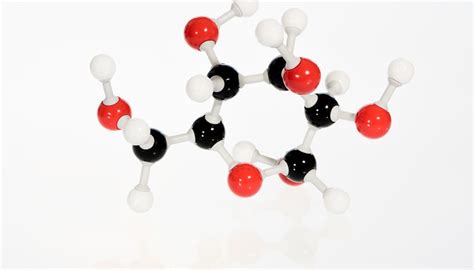 Equation for Glucose Metabolism | Sciencing