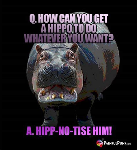 Hippo Jokes, Hippopotamus Puns | PainfulPuns.com