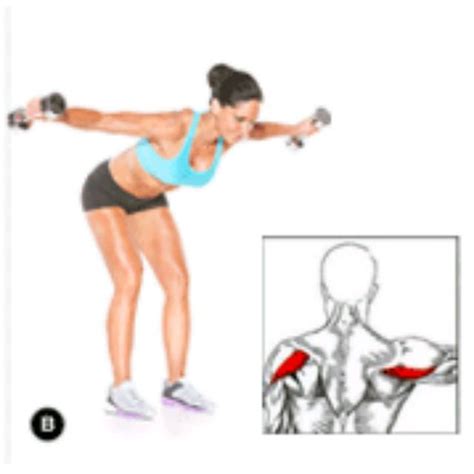 Rear Delt Flyes - Exercise How-to - Workout Trainer by Skimble